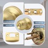 Moquin Round Ball Style Privacy Brushed Gold Door Knob, No