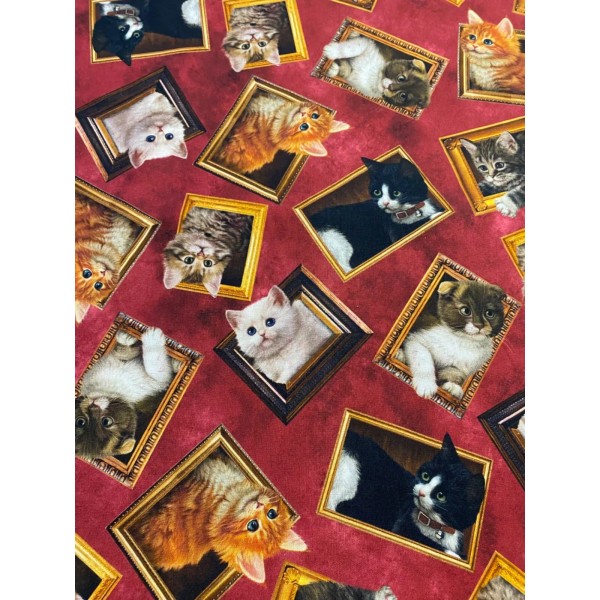 REALISTIC CATS IN PICTURE FRAMES RED BACKGROUND COTTON FABRIC FQ