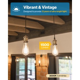Sunco 10 Pack ST64 Vintage Edison LED Bulb 1500 Lumens High Brightness, Dimmable 3000K Warm White, 13W=75W, E26 Medium Base - UL.