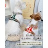 Paipeper Dog Harness, Small Dog Harness, Medium Size Dog Harness,