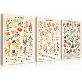 3Pcs Vintage Wildflowers Botanical Canvas Wall Art Colorful Rustic Style of Floral Picture Prints Farmhouse Style Illustrative Reference Flower Chart Painting Wall Decor(12x16in Wrapped Canvas)