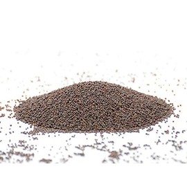 Mustard Seeds Black Whole | 70 g | Mustard Seeds Brown Sharp | Mustard Seeds | Mustard Seeds | Dark Mustard Grains | Brown Mustard Seeds | Gerüche-Küche |