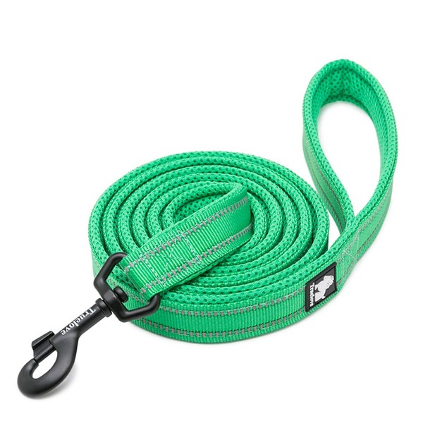 WINHYEPET True Love Dog Leash Nylon Sandwich Fabric Comfort Reflective