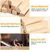 Omtofo Carving Wood, Pack of 18 Natural Basswood for Carving,