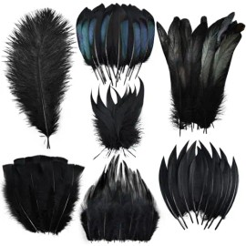 300 Pcs Small Feathers 10 Style Mixed Spotted Decorative Natual Pheasant Feather for DIY Crafts Clothing Jewelry Hair DecorationColor: Black 1