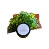 Bálsamo Facial. Hidratación,firmeza,antioxidantes. Orgánico.