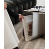 Modern Stainless Steel Side Table,Minimalist Storage Coffee Table(Silver)