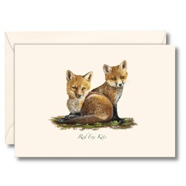 Earth Sky + Water - Red Fox Kits Notecard Set - 8 Blank Cards with Envelopes