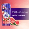 Lady Speed Stick Fresh Infusions Antiperspirant Invisible Solid, Fruity Melon,