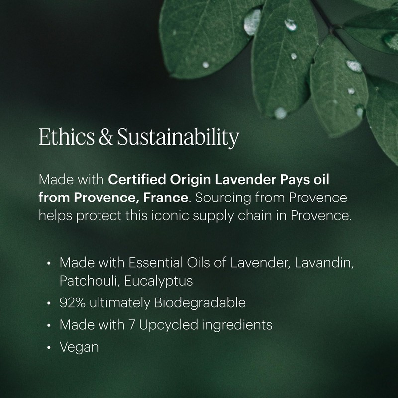 Aera Mini Lavender - Essential Oil for Home - Calming