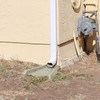 Suncast Poly Composite Easy to Use Decorative Outdoor Rain Gutter