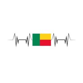Benin Wall Art Murals Cute International Signal Flags Store Wall Decals Vinyl Mural Decals Quotes for Living Room Party Suitcase Wall Art 22in
