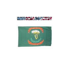 NationalCountryFlags New Large 3x5 69th Irish Infantry Brigade Flag Flags