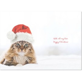 doodlecards Husband Christmas Card Cat with Santa Hat Medium Size Christmas Card for Husband with Plain Envelope