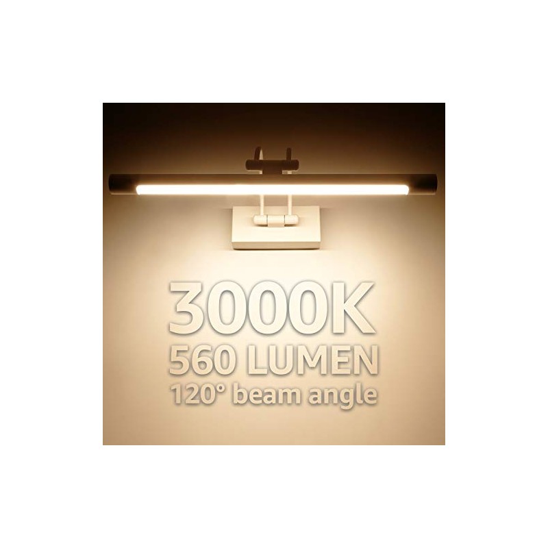 LEONLITE Picture Light