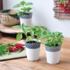 Seishin Ceramics All-Year Home Garden Easy Cultivation Kit for Growing