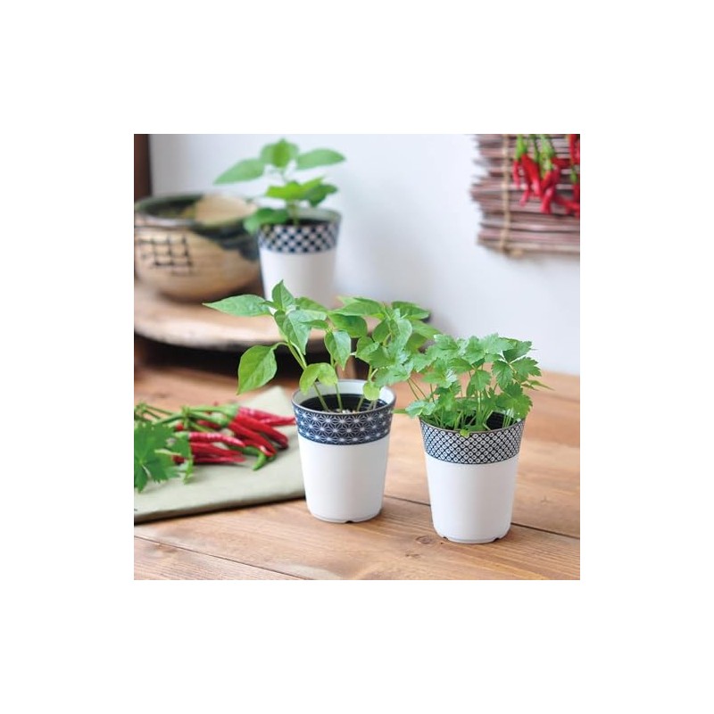 Seishin Ceramics All-Year Home Garden Easy Cultivation Kit for Growing