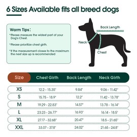 Kuoser Dog Recovery Suit for Back Legs, Thigh Wound Protective Sleeve for Dogs, Dog Recovery Sleeve for Female Male Dogs, Dog Onesie After Surgery Pet Surgical Suit for Spay Neuter, Purple L