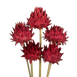 Vickerman 15" Red Artichoke Head Attached to a Reed Stem. Includes 9 Stems per Pack, Dried