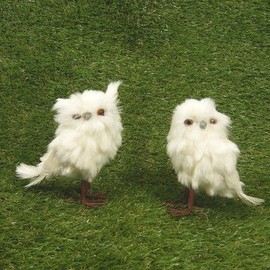 Darling Little Pair of Small White Fluffy Owls for Commercial Displays, Fall Decor and More