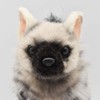 BH7840 HANSA Ardwolf Figure 28