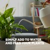 Peace Lily Fertilizer, Complete Liquid Peace Lily Plant Food, 8