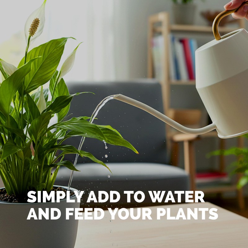 Peace Lily Fertilizer, Complete Liquid Peace Lily Plant Food, 8