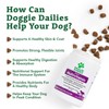 Doggie Dailies Doggie Dailies 5 in 1 Multivitamin for Dogs,