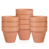 OLEEP Clay Pots - 10 Pack (5.5 inch) Large Terra