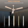 16 inch Ceiling Fan Downrod with Extension Cord,1.33 FT Downrod