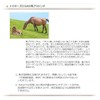 プレミアプラセンタエフェクト　ゴールドプラセンタソープ 枠練り石鹸　(90g)