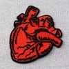 X-Ray Anatomical Heart Patch Embroidered Badge Iron On Sew On