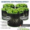 10 Gallon Grow Bags, Heavy Duty Fabric Pots with Handles