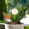 3 PAGEN® Watering Indicator Robin - Acoustic Signal for Watering