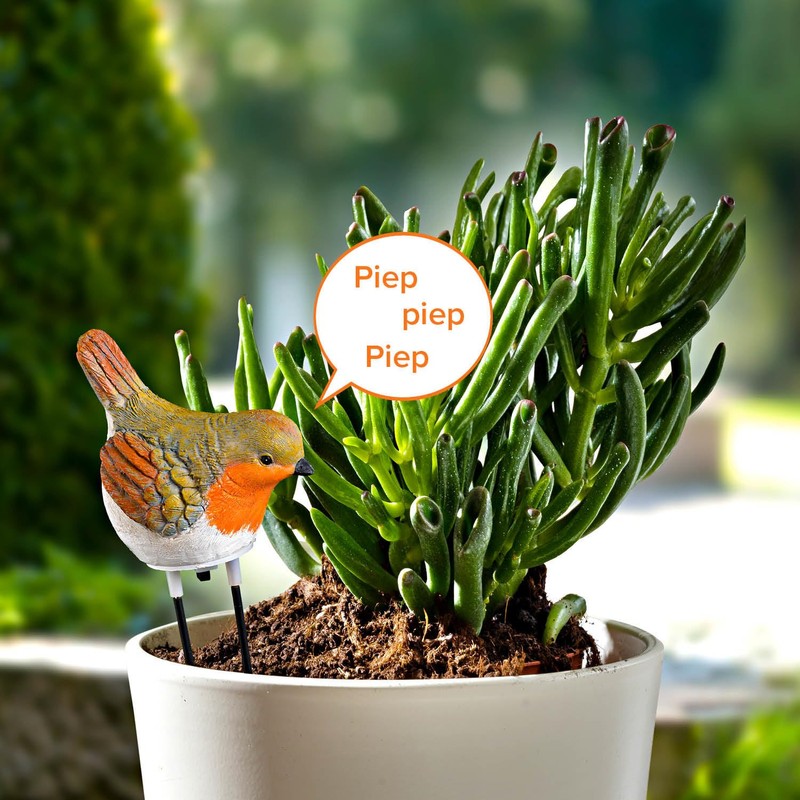 3 PAGEN® Watering Indicator Robin - Acoustic Signal for Watering