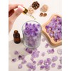 JOVIVI Amethyst Crystal,Raw Crystals Amethyst Crushed Stone,Natural Healing Crystals Gemstones