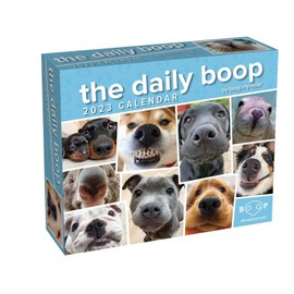 The Daily Boop 2023 Day-to-Day Calendar: By Boop My Nose