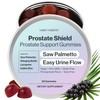 Habit + Habitat Prostate Shield Gummies - Men's Prostate Health