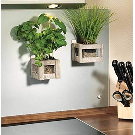 tesa Powerstrips® Large for Max. 2 kg, Pack of 10 Strips (4)