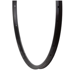 RaceFace AR 25 Rim - 29" Disc Black 32H Offset