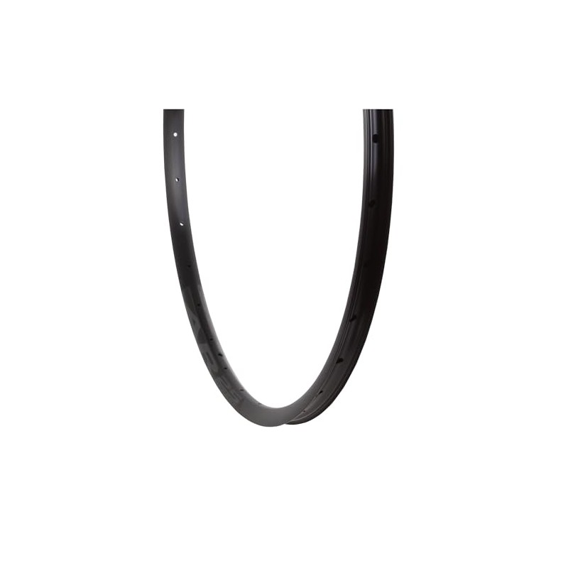 RaceFace AR 25 Rim - 29" Disc Black 32H Offset