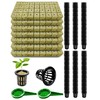 Natural Hydroponic Growing Kit for Soilless & Hydroponic Cultivation -