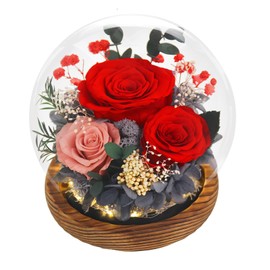 FIACO Preserved Roses in Glass Dome with LED Light Forever Flowers Eternal Roses Gift for Women Christmas & Birthday Gifts for Mom, Grandma, Wife, Girlfriend