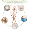 Parches Abdomen Adelgazar Reductivo Pzas Neutra