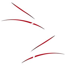 Carena Sticker Compatible with Honda SH350i 2023-2024 FM-SH-001 (Red)
