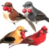 Banberry Designs Feathered Song Bird Clip-On Ornaments - Assorted Styles