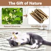 Catnip Toys 4 Pack Silvervine Chew Stick for Indoor Cats,