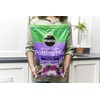 Miracle-Gro African Violet Potting Mix, 8 qt.