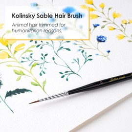 Kolinsky Sable Miniature Paint Brushes - Professional Artist Brush Size 0, Small Fine Detail Paint Brush Set for Mini Paints, Paint by Number, Figurine
