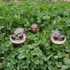 MOLMH Weird Ugly Funny Monster Frog Obese Toad Garden Accessories